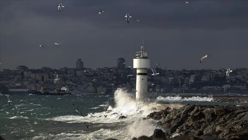İstanbul Fırtına