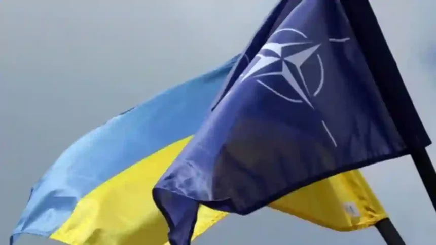 NATO - Ukrayna