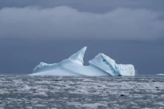 Grönland