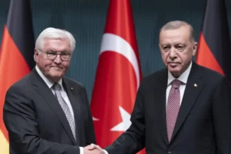 Steinmeier - Erdoğan