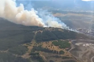 Orman Yangını