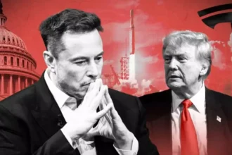 Elon Musk - Donald Trump