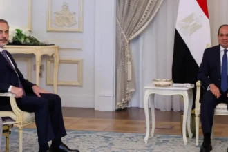 Hakan Fidan -Abdülfettah es-Sisi