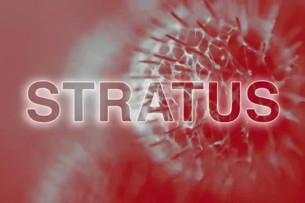 covid stratus