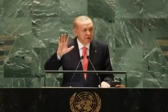 Recep Tayyip Erdoğan - BM