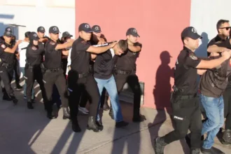 Bayğaralar Suç Örgütü Operasyon
