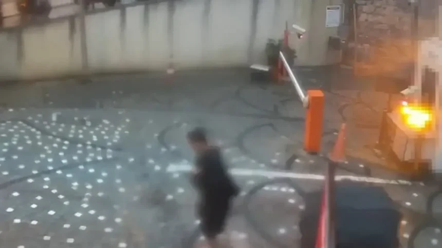 İstanbul Çocuk Elektrik Akımı